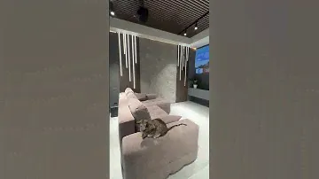 ИНТЕРЬЕР С 3D ПАНЕЛЯМИ СКАЛА от @eco_gips